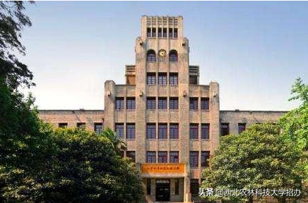 西北农林科技大学是985还是211(长安大学是985还是211)