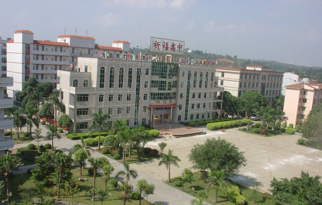 百色市民族卫生学校(百色市民族卫生学校是中职还是大学)