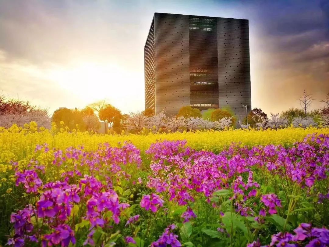 同济大学浙江分院(同济大学浙江学院官网)