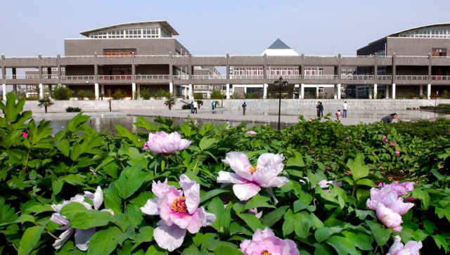 河北邯郸大学(河北邯郸大学有哪些)